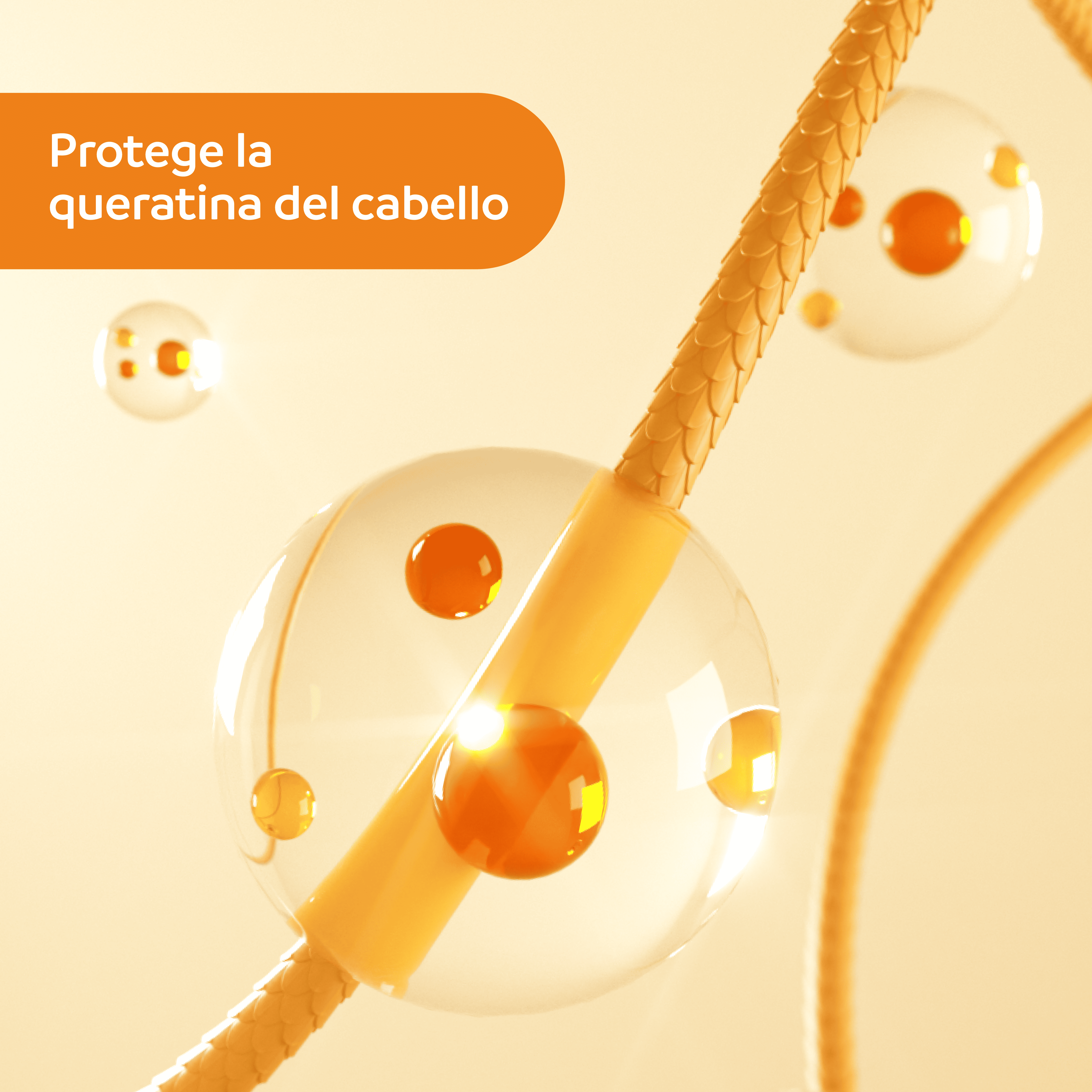 Lanzamiento Photoage Capilar